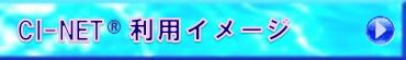CI-NET利用イメージ